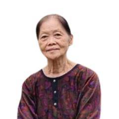 Ng Soei Ngo (-)