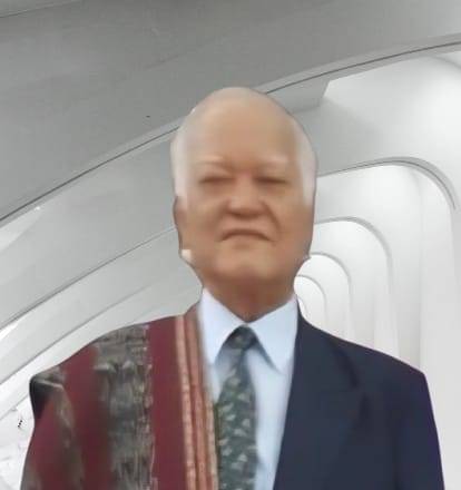 Ir. Mangatur Pardede