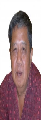 TN. BUDIYANTO EFFENDI TASLIM