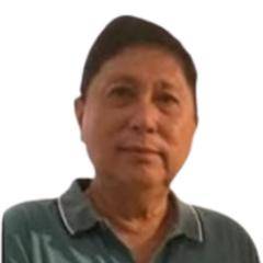 John Angdiarto Tan (-)