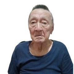 Saliman Wongso Dihardjo (-)