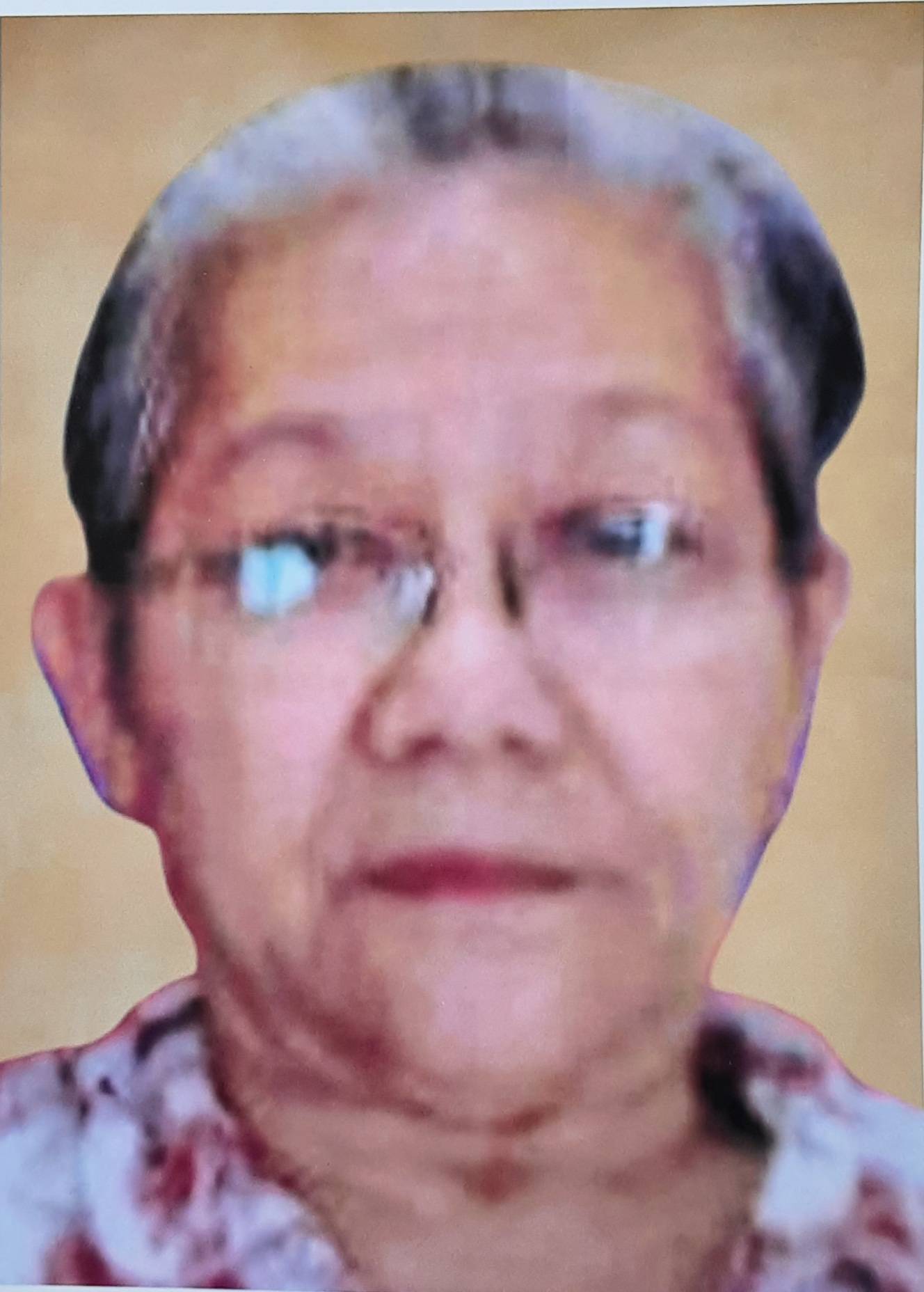 Laurentia Lena Halim ( Lim Hin Len )