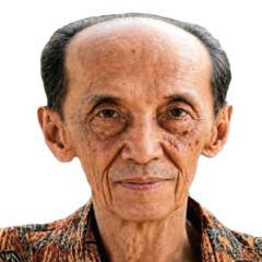 Prof. Ir. Johan Silas (-)