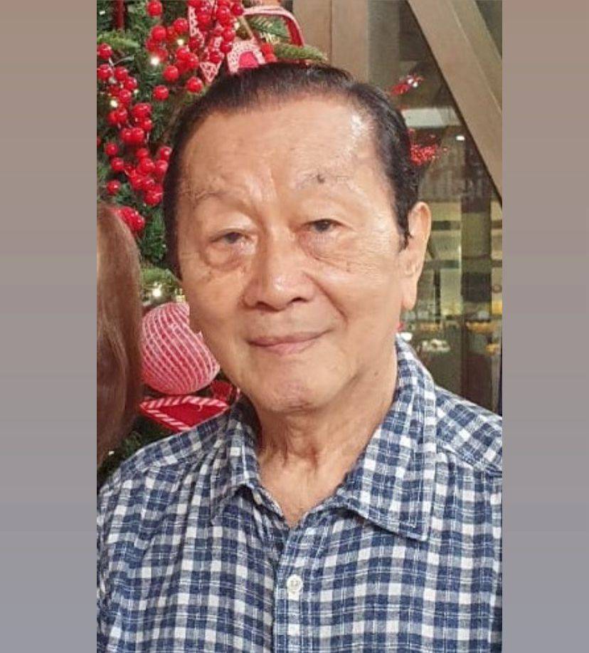 Prof. DR. Dr. Pinardi Hadidjaja MPH-TM