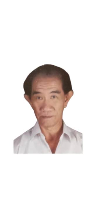 Tn. Thoeviars Setiawan (Tjen Sin Sen)