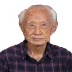 Djoni Njotodjojo (-)